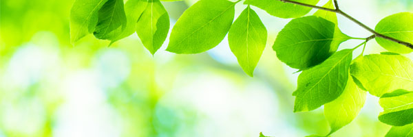 地域社会への貢献